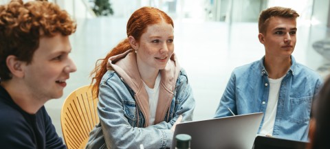 Group of friends working on a college assignment