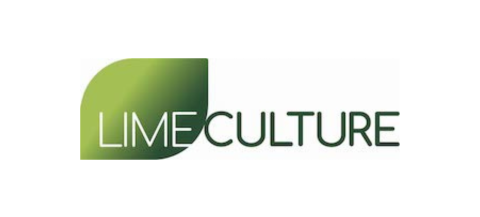 A green leaf on the left, then white text saying LIME and dark green text saying 'CULTURE', which makes up the Lime Culture logo