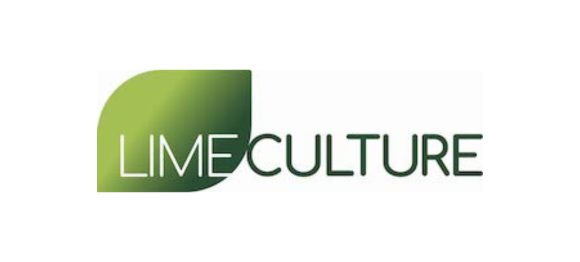 A green leaf on the left, then white text saying LIME and dark green text saying 'CULTURE', which makes up the Lime Culture logo