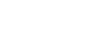 ION
