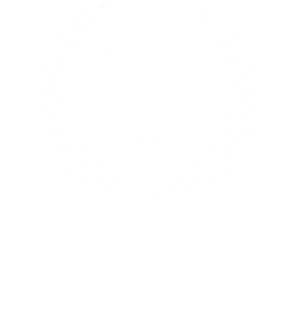 Raindance logo