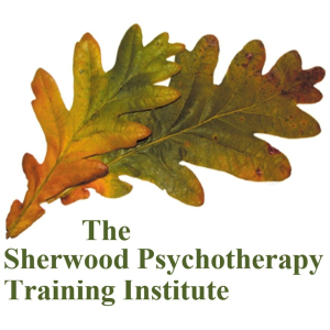 SPTI logo