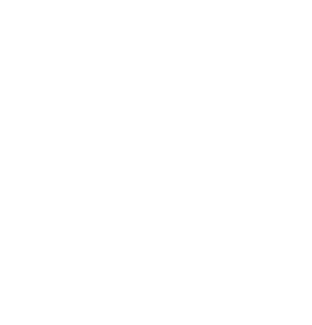 Istituto Marangoni logo
