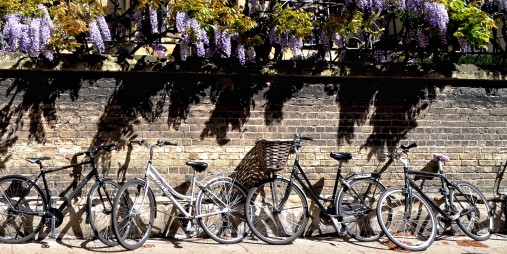 Bicycles leaning against a wall